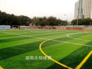 佛山(shān)南(nán)莊中心小(xiǎo)學足球場(chǎng)